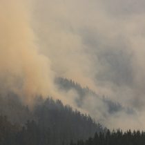 Senapred ordena evacuación en distintos puntos de Coronel por avance de incendios forestales