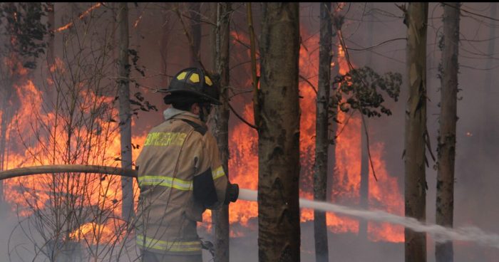 Decretan toque de queda en Coronel por incendio forestal que superó 4 mil hectáreas siniestradas: no se reportan viviendas ni personas afectadas Decretan toque de queda en Coronel por incendio forestal que superó 4 mil hectáreas siniestradas: no se reportan viviendas ni personas afectadas
