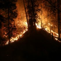 Conaf reporta 41% de intencionalidad en incendios forestales ya investigados en regiones del Biobío y La Araucanía