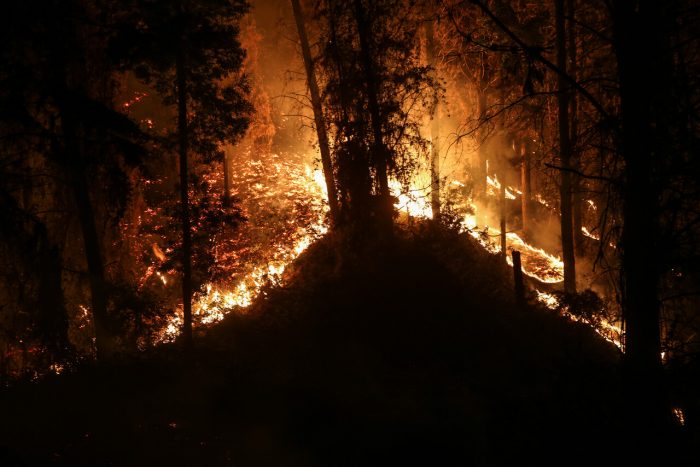 Conaf reporta 41% de intencionalidad en incendios forestales ya investigados en regiones del Biobío y La Araucanía Conaf reporta 41% de intencionalidad en incendios forestales ya investigados en regiones del Biobío y La Araucanía