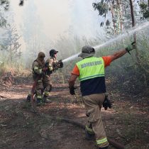 Senapred decreta alerta temprana preventiva en diversas comunas de Valparaíso por riesgo de incendios forestales 