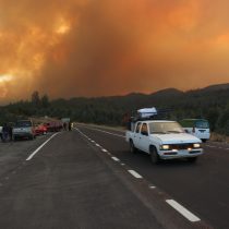 Balance incendios forestales: Gobierno informa 232 activos, 157 controlados y 42 extinguidos