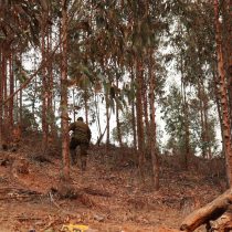 Gobierno solicita a los empresarios su participación en la reconstrucción de zonas afectadas por incendios forestales
