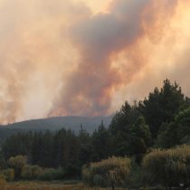 Conaf informa que 8.000 hectáreas han sido consumidas en Coronel debido a los incendios forestales