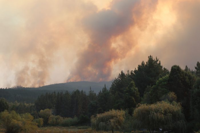 Conaf informa que 8.000 hectáreas han sido consumidas en Coronel debido a los incendios forestales