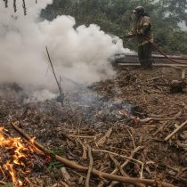 Senapred declara alerta roja para Corral y Valdivia por incendio forestal de 