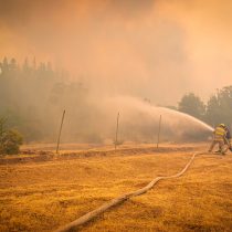 Alerta amarilla en Melipilla: incendio forestal consume 100 hectáreas
