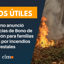 Bono de Recuperación: gobierno anunció inicio de transferencias desde la próxima semana