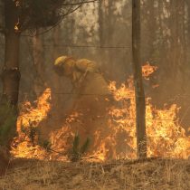 Gobierno informó que hay siete detenidos acusados de iniciar incendios forestales: presentarán querellas