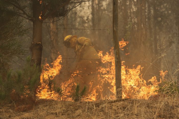 Gobierno informó que hay siete detenidos acusados de iniciar incendios forestales: presentarán querellas