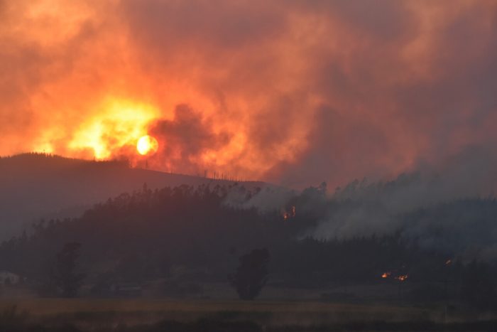 Gobierno reporta 22 fallecidos por incendios forestales y señala que superficie quemada esta semana equivale a la de un año completo