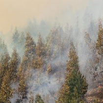 Gobierno reporta que hay 84 incendios forestales en combate y 5,5 mil personas damnificadas
