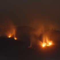 Gobierno informa 90 incendios forestales en combate y detenidos llegan a 28