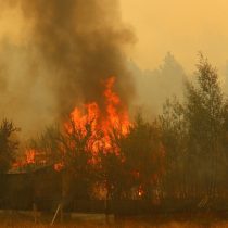 Gobierno decreta Estado de Catástrofe para la Región de La Araucanía por incendios forestales