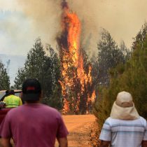 Gobierno informa sobre 82 incendios forestales en combate y rectifica cifra de fallecidos: son 24