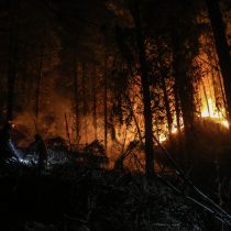 Senapred reporta 89 incendios en combate y 336 mil hectáreas afectadas