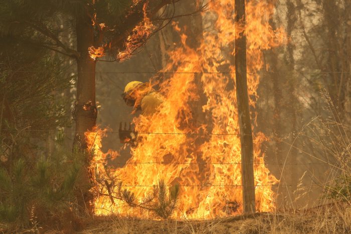 Incendios forestales: Gobierno señala que superficie quemada en cinco días equivale a las de dos años