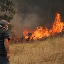 Gobierno cita a presidentes de partidos opositores y oficialistas para abordar situación por incendios forestales