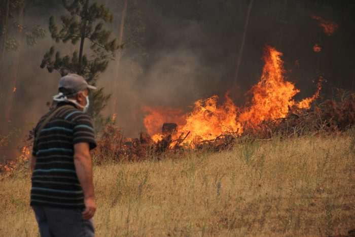 Incendios en Chile, tarea pendiente de seguridad