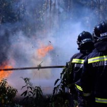 Senapred pide evacuar sectores de Tomé por incendio forestal
