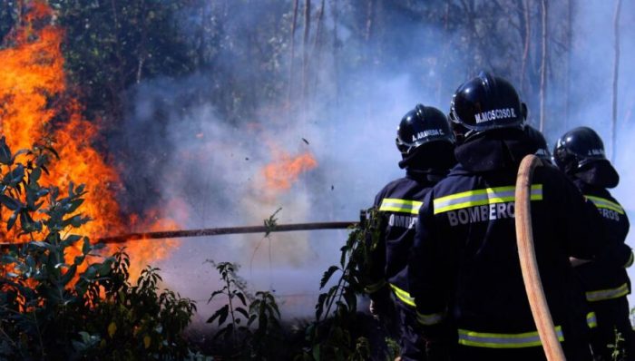 Senapred pide evacuar sectores de Tomé por incendio forestal