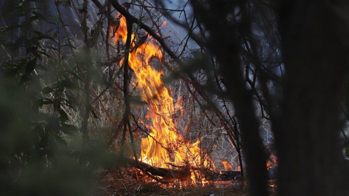 Carabineros detiene a soldador acusado de provocar incendio forestal en Arauco