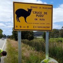 El valor biocultural de las vacaciones