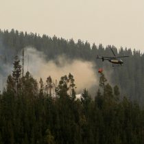 UE activó servicio de emergencias, ante incendios forestales en Chile: ayudará con mapas satelitales 