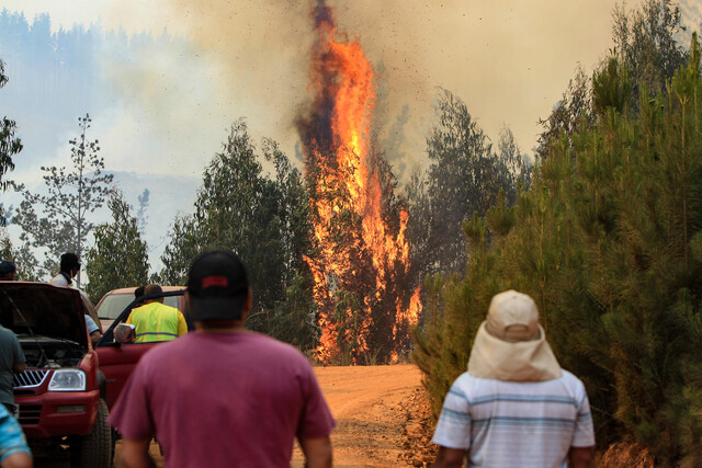 Estas son las 13 medidas del Plan de Recuperación y Ayudas Tempranas del Gobierno para afectados por incendios forestales