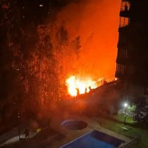 Reportan incendio forestal en San Pedro de la Paz: amenaza a viviendas cercanas