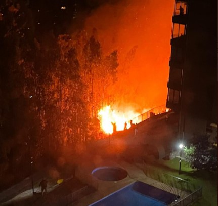 Reportan incendio forestal en San Pedro de la Paz: amenaza a viviendas cercanas