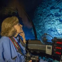 Mission Blue anuncia su llegada a Chile con una expedición a la Patagonia