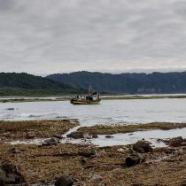 Mapuches y ambientalistas piden espacio protegido en Chiloé